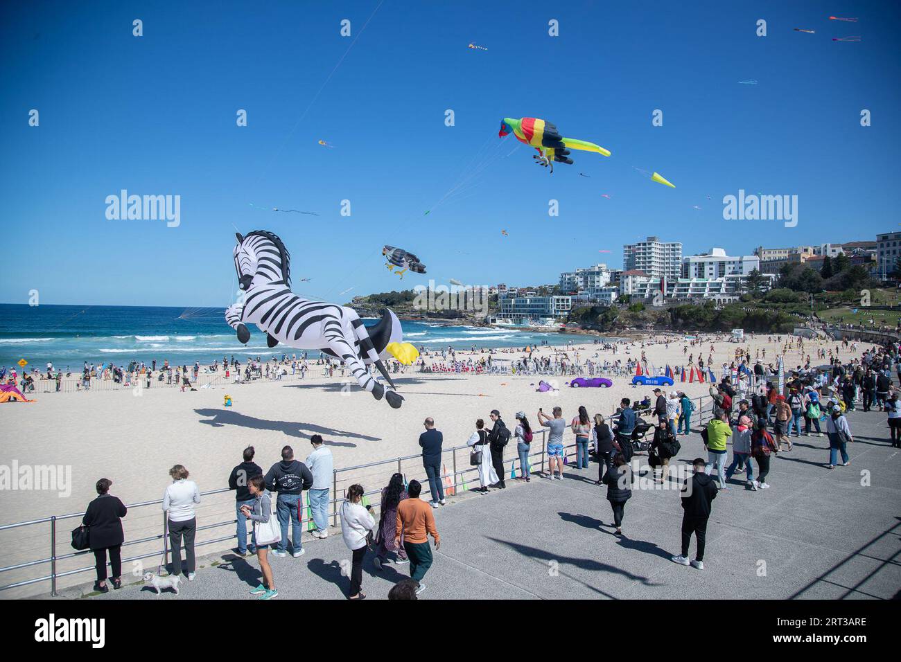 Sydney, Australia. 10th Sep, 2023. People fly kites at Bondi Beach in