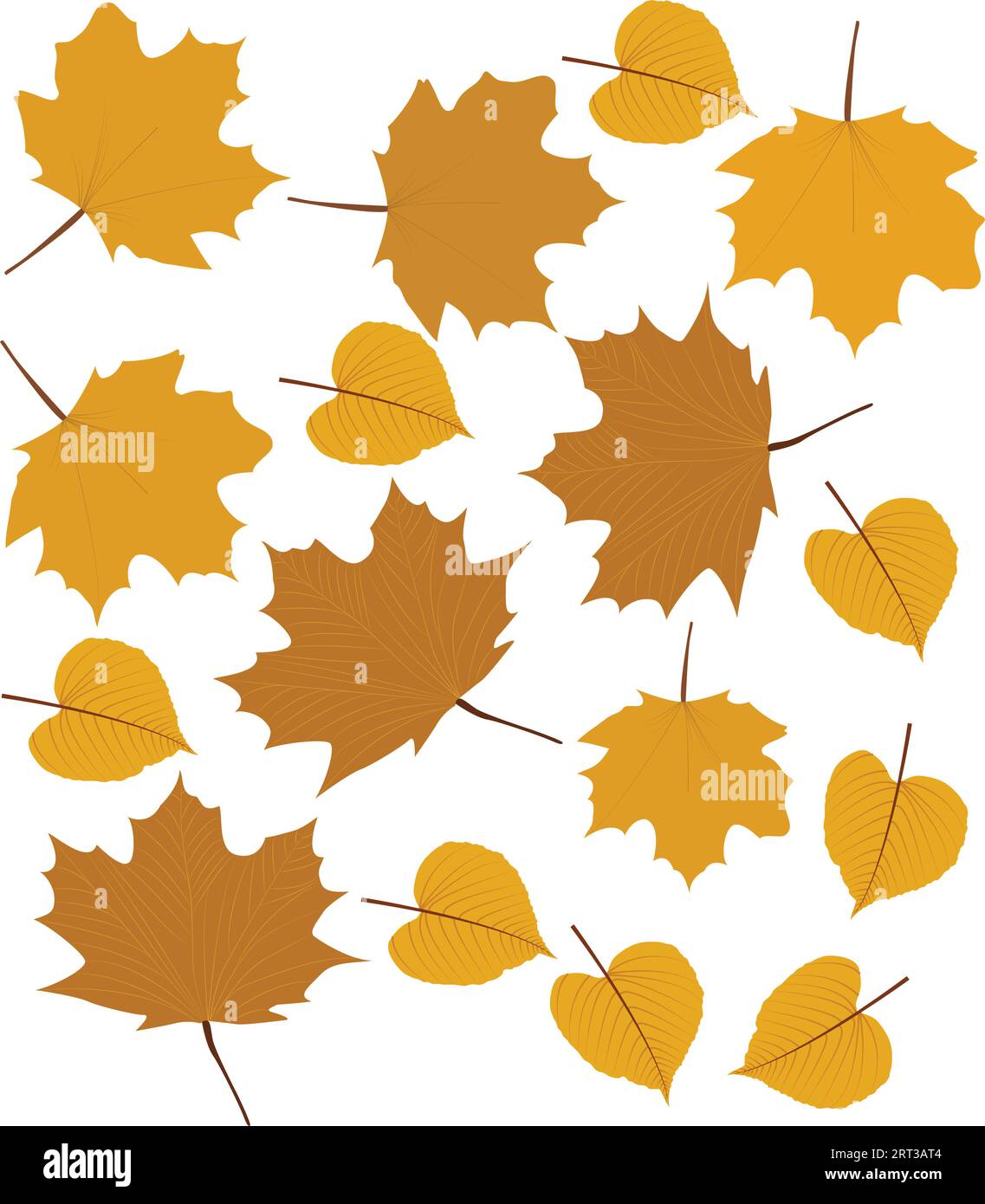 Fall leaves isolated on white background collection. Orange maple leaves pattern. Vector illustration. Stock Vector