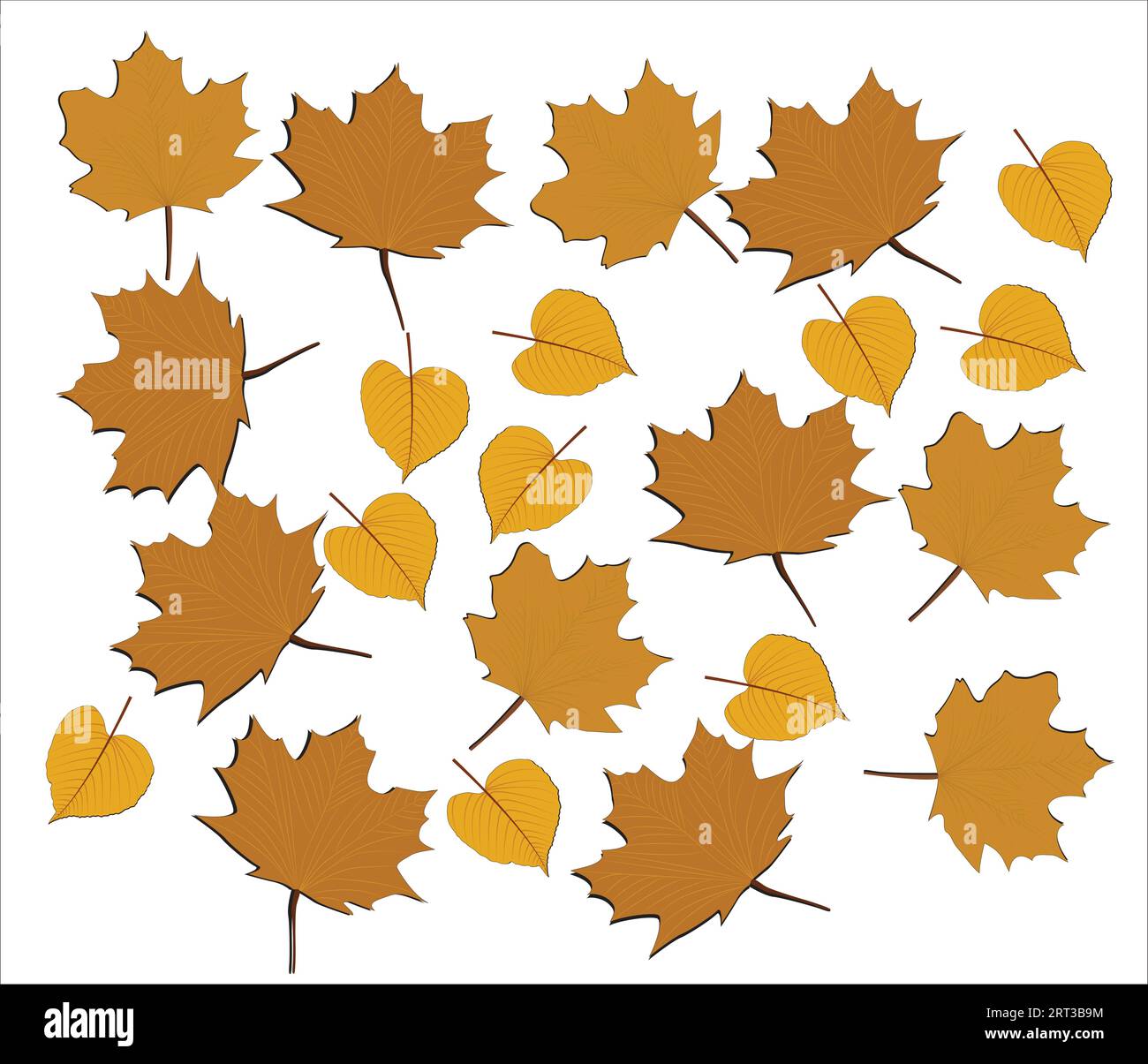 Fall leaves isolated on white background collection. Orange maple leaves pattern. Vector illustration. Stock Vector