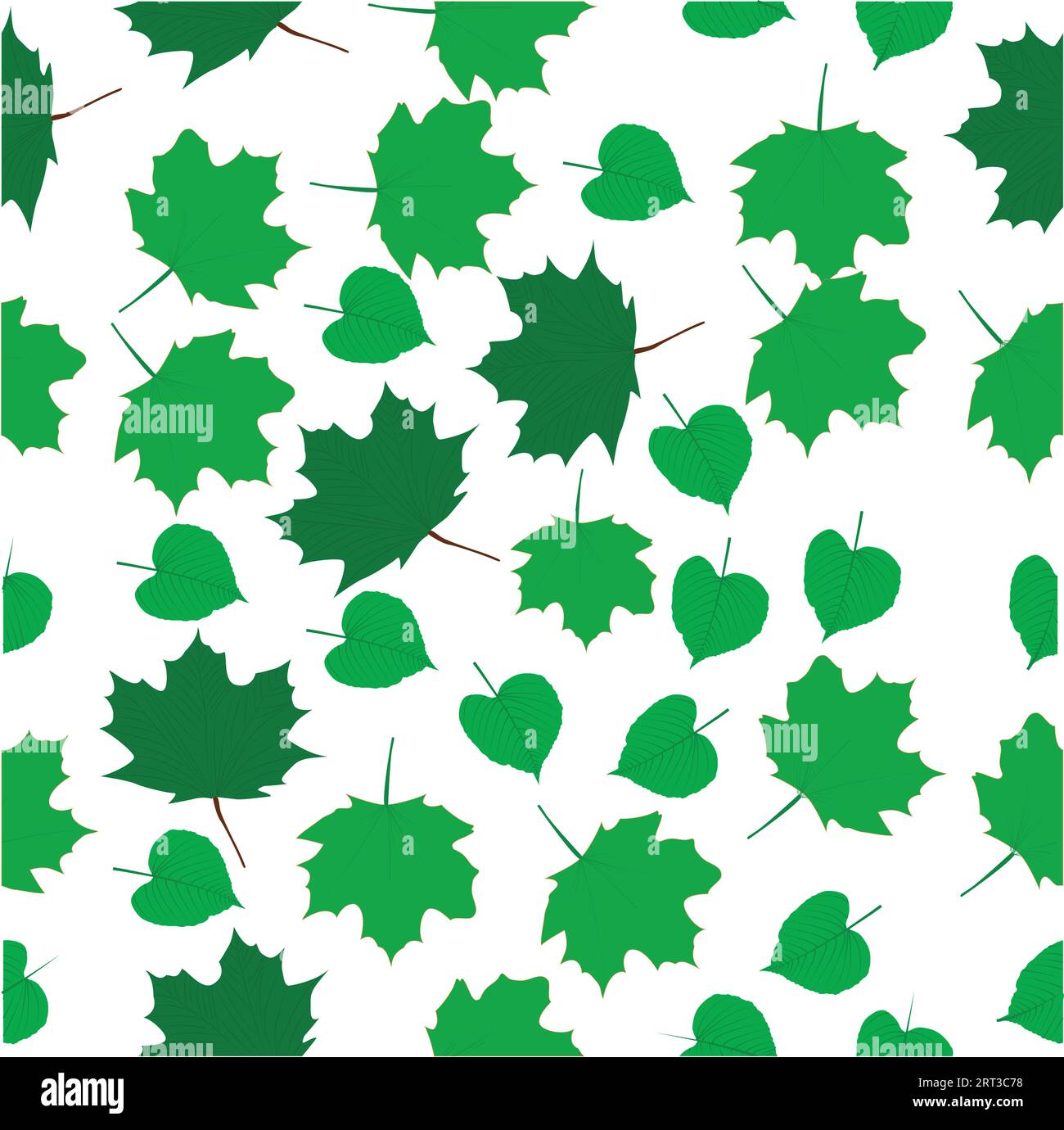 Fall leaves isolated on white background collection. Orange maple leaves pattern. Vector illustration. Stock Vector