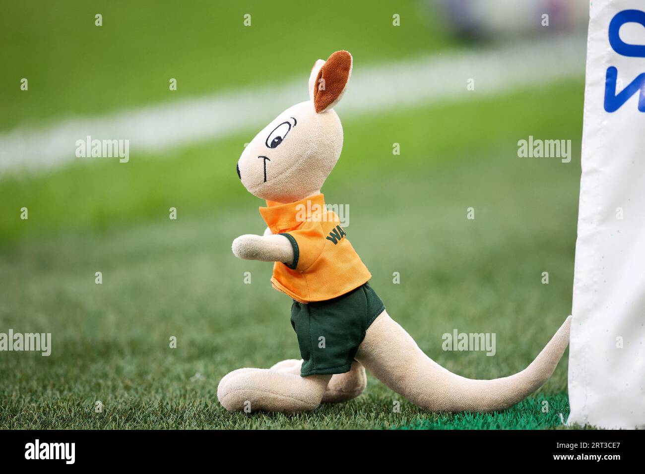 Saint Denis, France. 09th Sep, 2023. Austrlian plush of the field ...