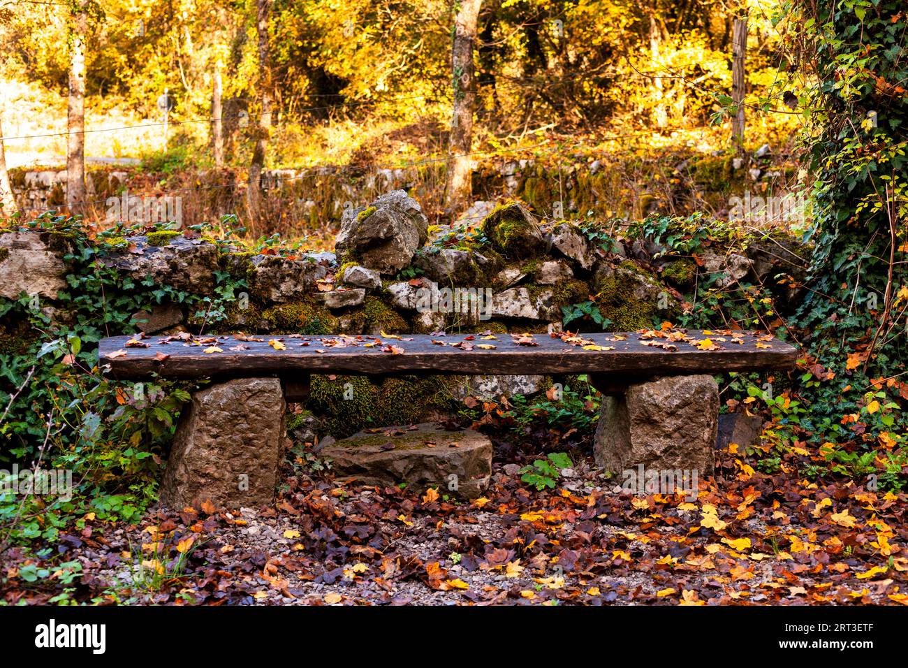 Dead bench hi-res stock photography and images - Alamy