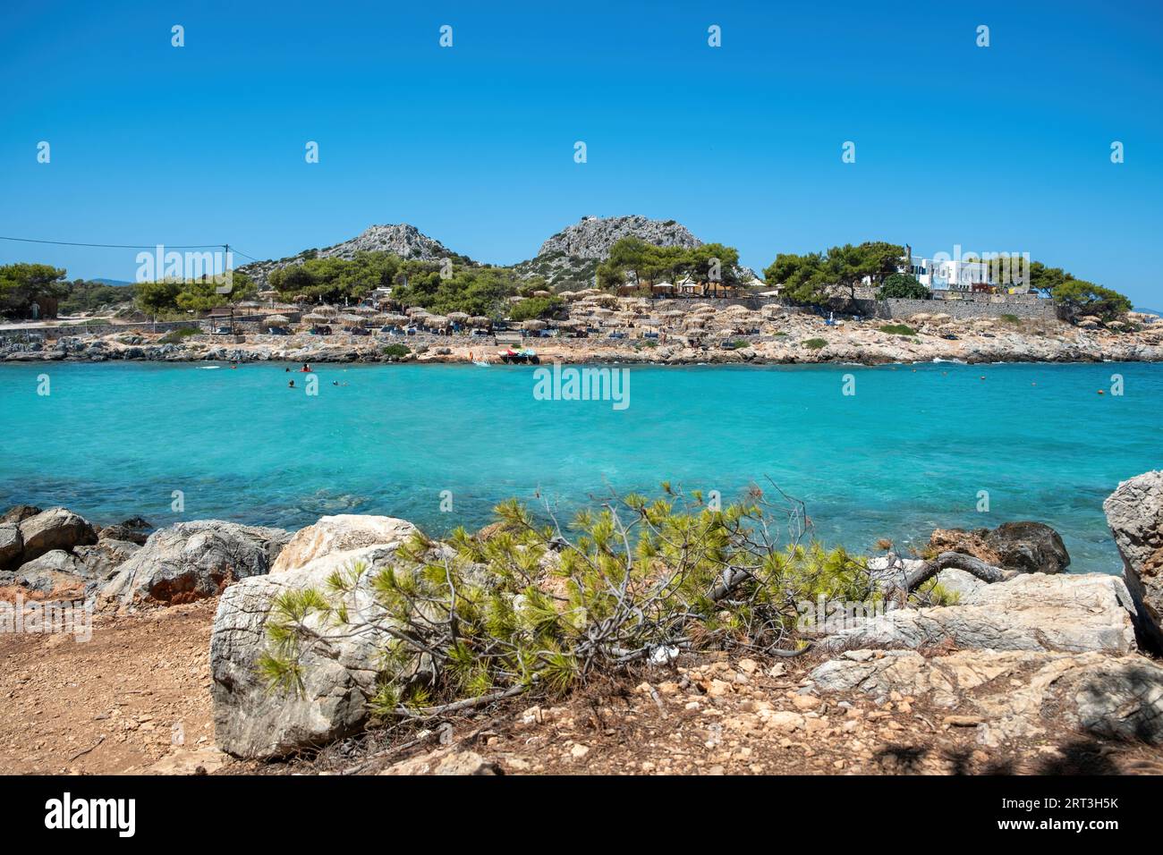 Greece Aponisos beach, destination Agistri island. Rocky beach with pine tree, people swim in clear sea water, blue sky background. Summer vacation. Stock Photo