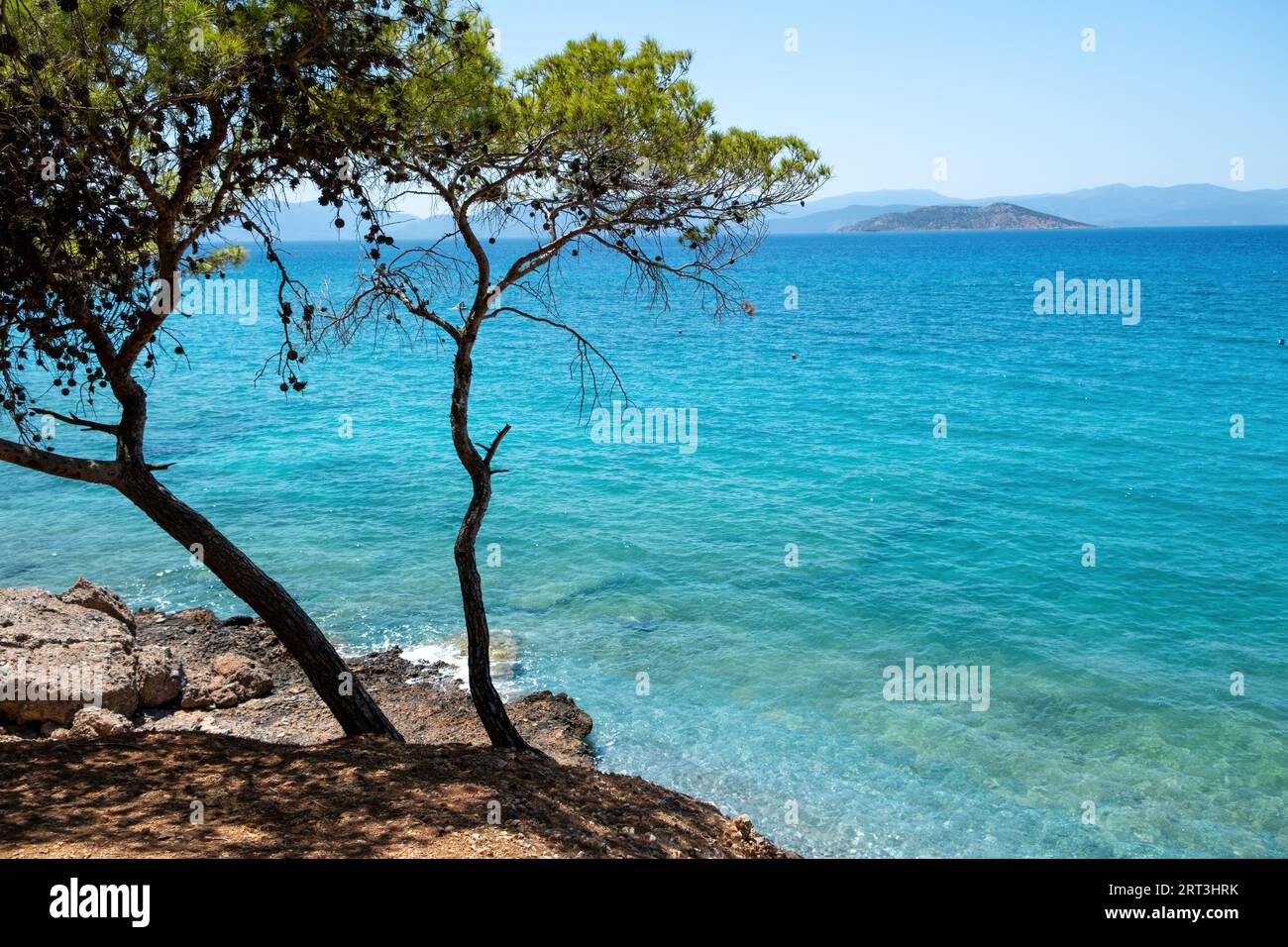 Dragonera Beach, Agistri Island, Greece. Rocky landscape covered with pine tree, crystal transparent sea, blue sky, summer sunny day. Space Stock Photo
