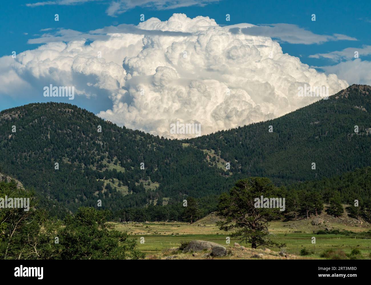 Thunderhead Builds Over Moraine Park In Rocky Mountain National Park Stock Photo