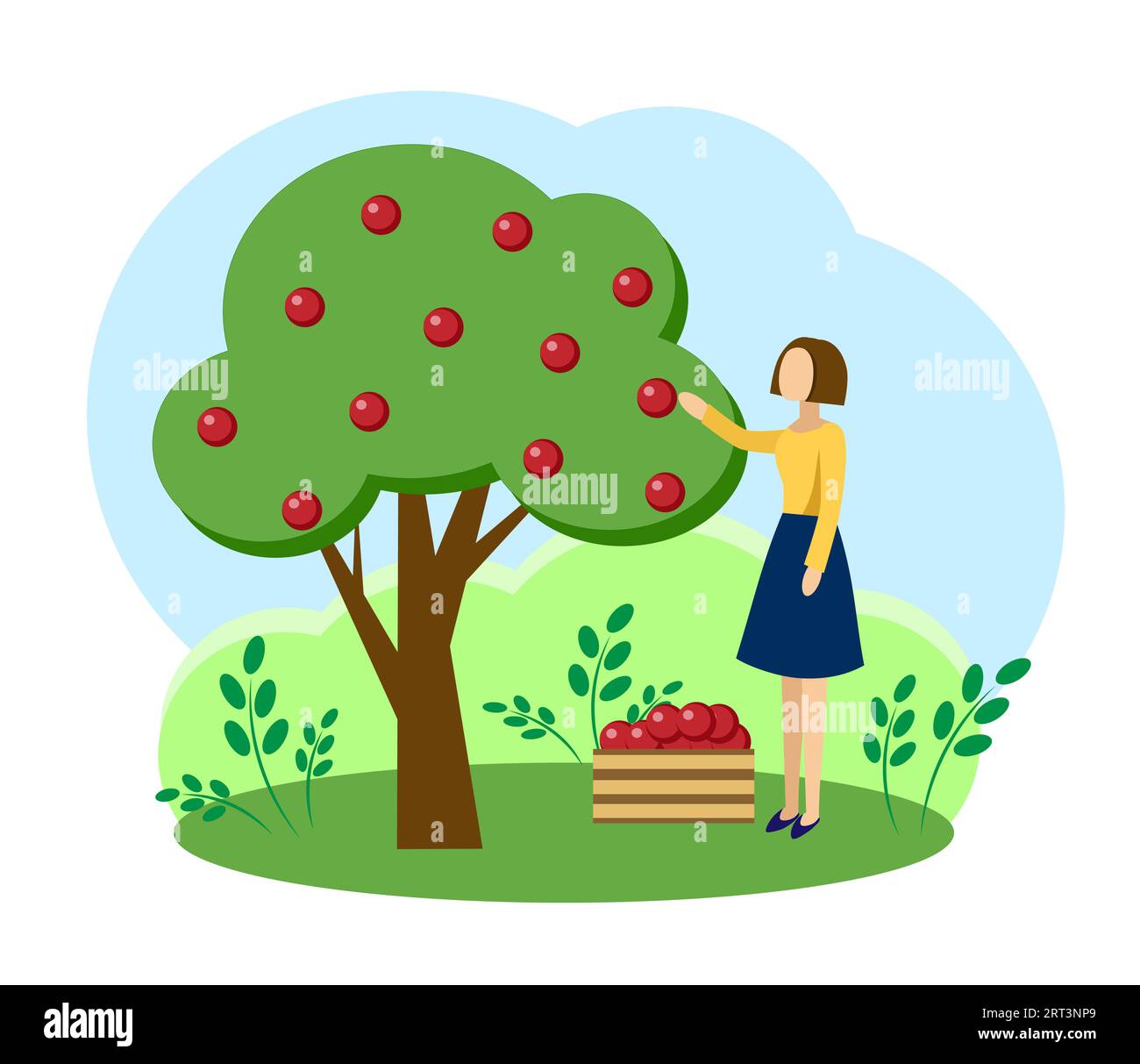 A girl plucks fruit from a tree Stock Vector