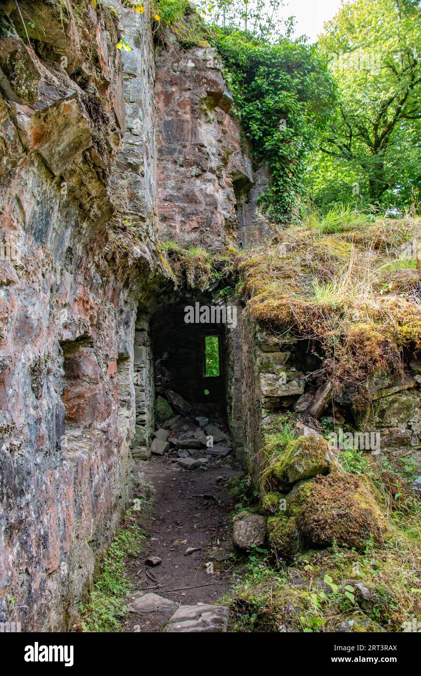 Abandoned and overgrown eerie Finlarig Castle, near Killin, Scotland Stock Photo