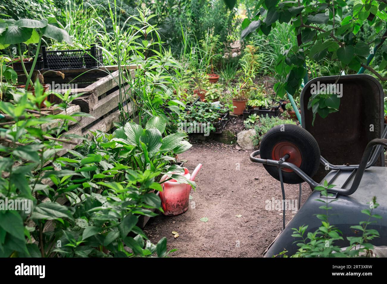 Wheelbarrows with flowers hi-res stock photography and images - Alamy