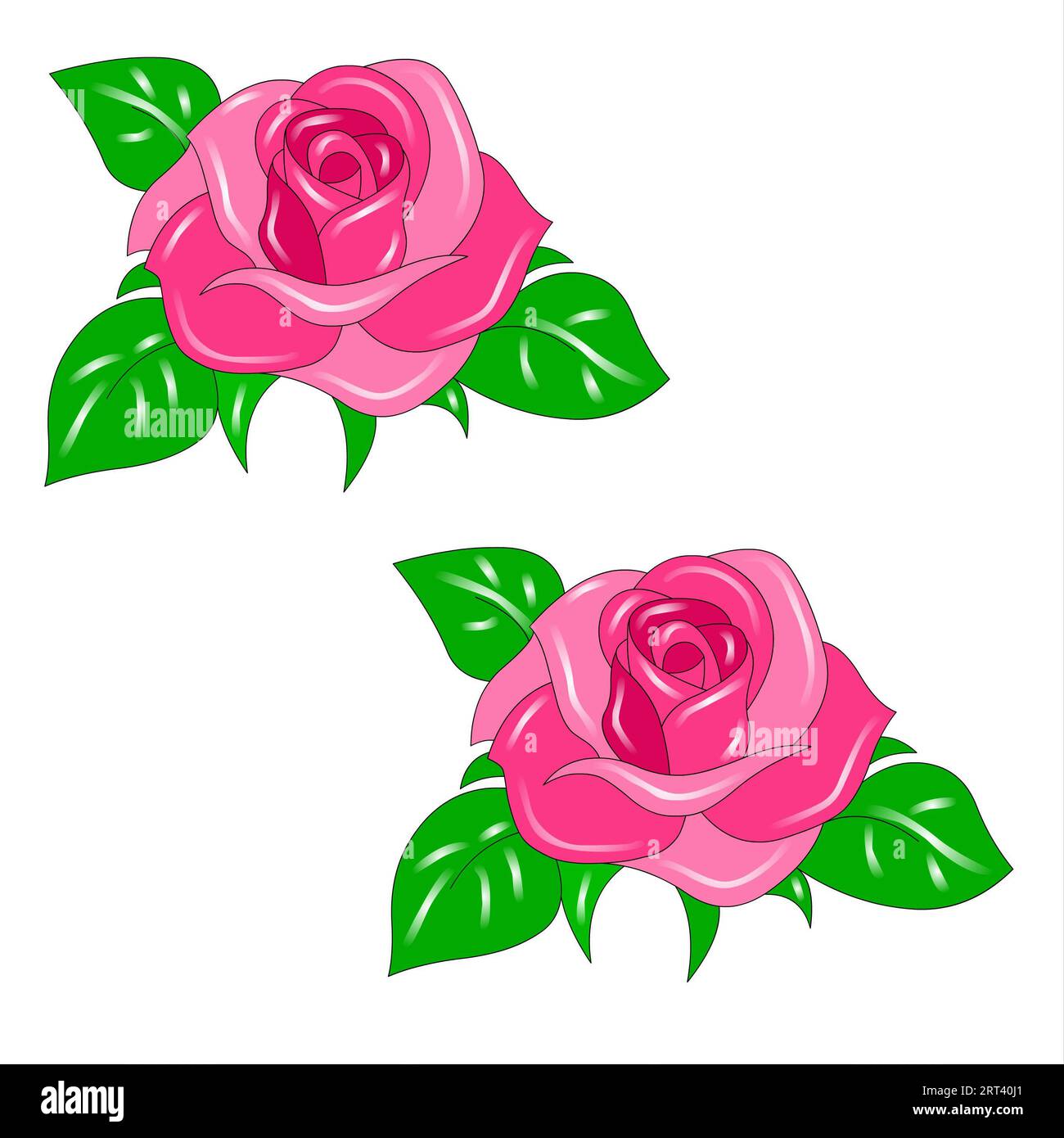Pink rose with green leaves on a white background. Vector illustration. Stock Photo