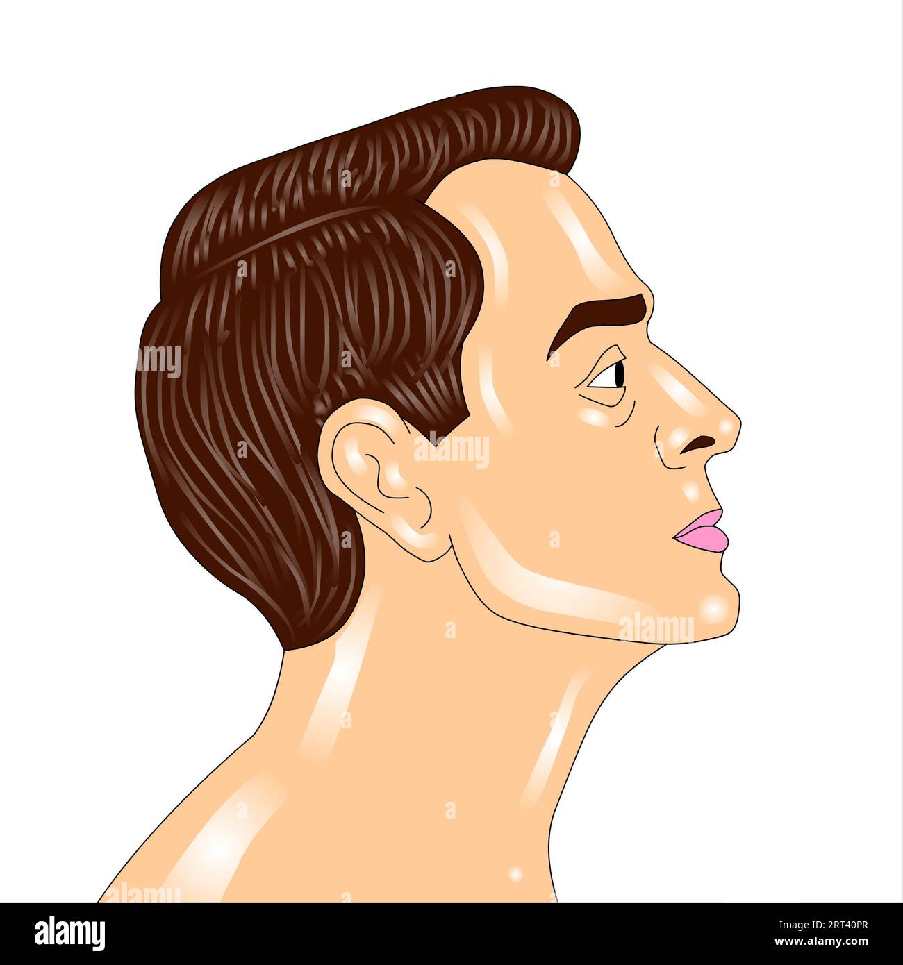 Illustration of a profile of a young man. Vector illustration. Stock Photo
