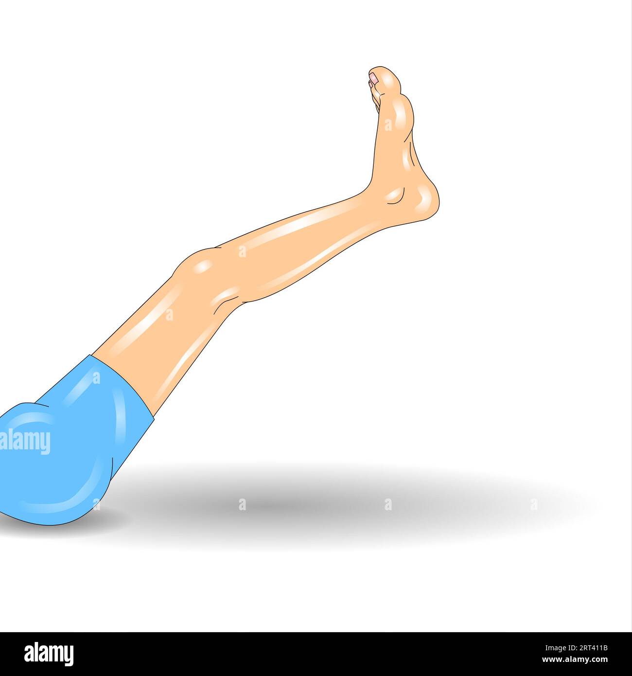 Vector illustration of a male leg on a white background with shadow. Stock Photo