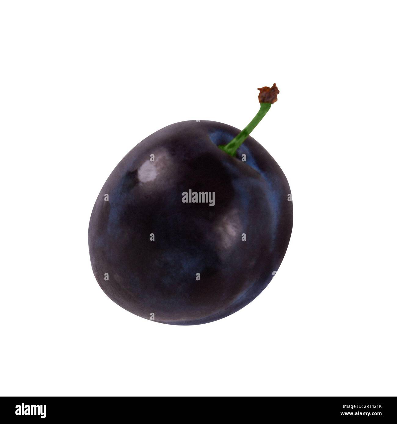 Whole fresh plum fruit isolated on white background Stock Photo
