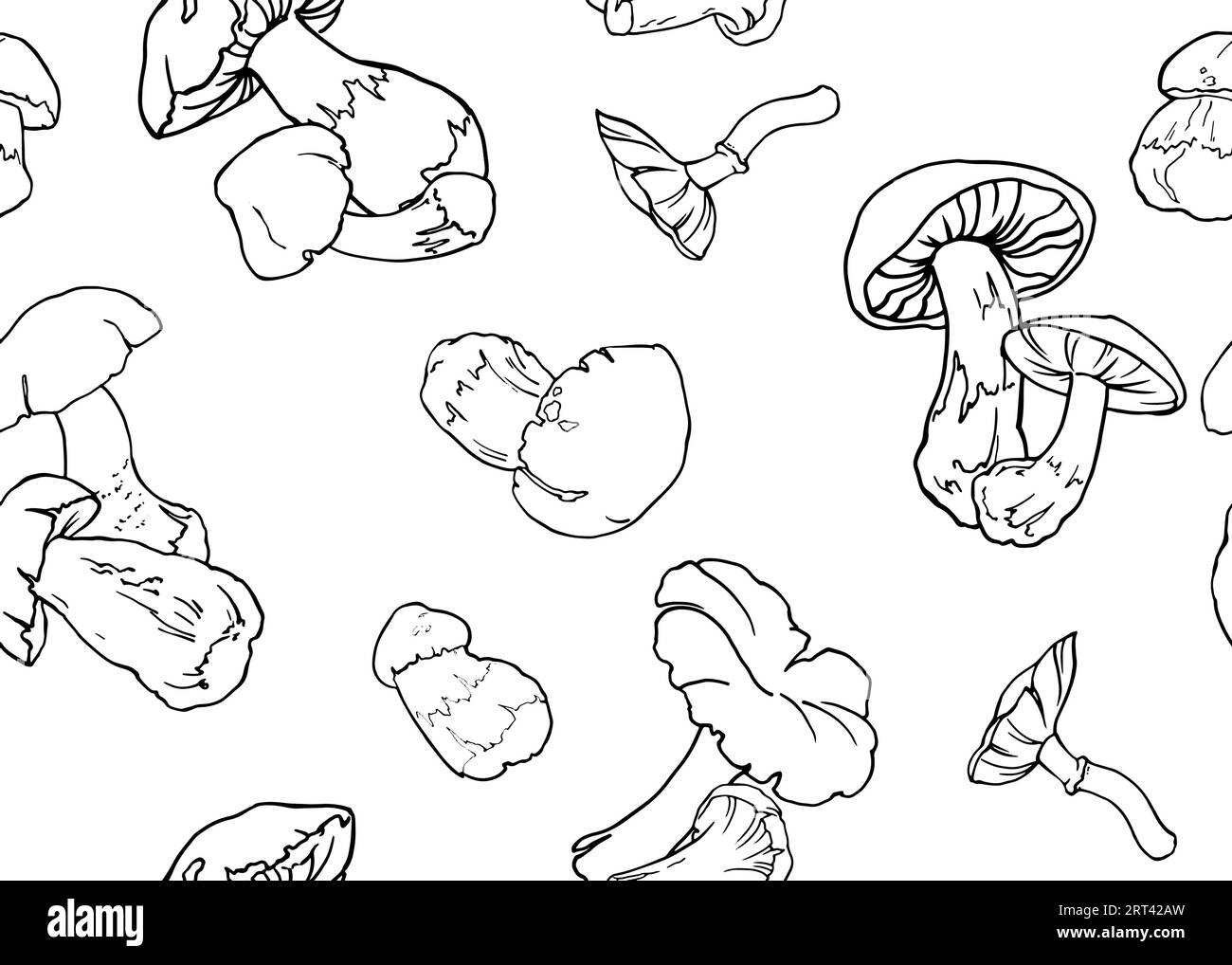Seamless background of mushrooms. Hand drawing lines. Sketch drawing of a mushroom isolated on a white background. Organic vegetarian food product. For printing packaging, menus, recipes, packaging, etc. Vector illustration Stock Vector