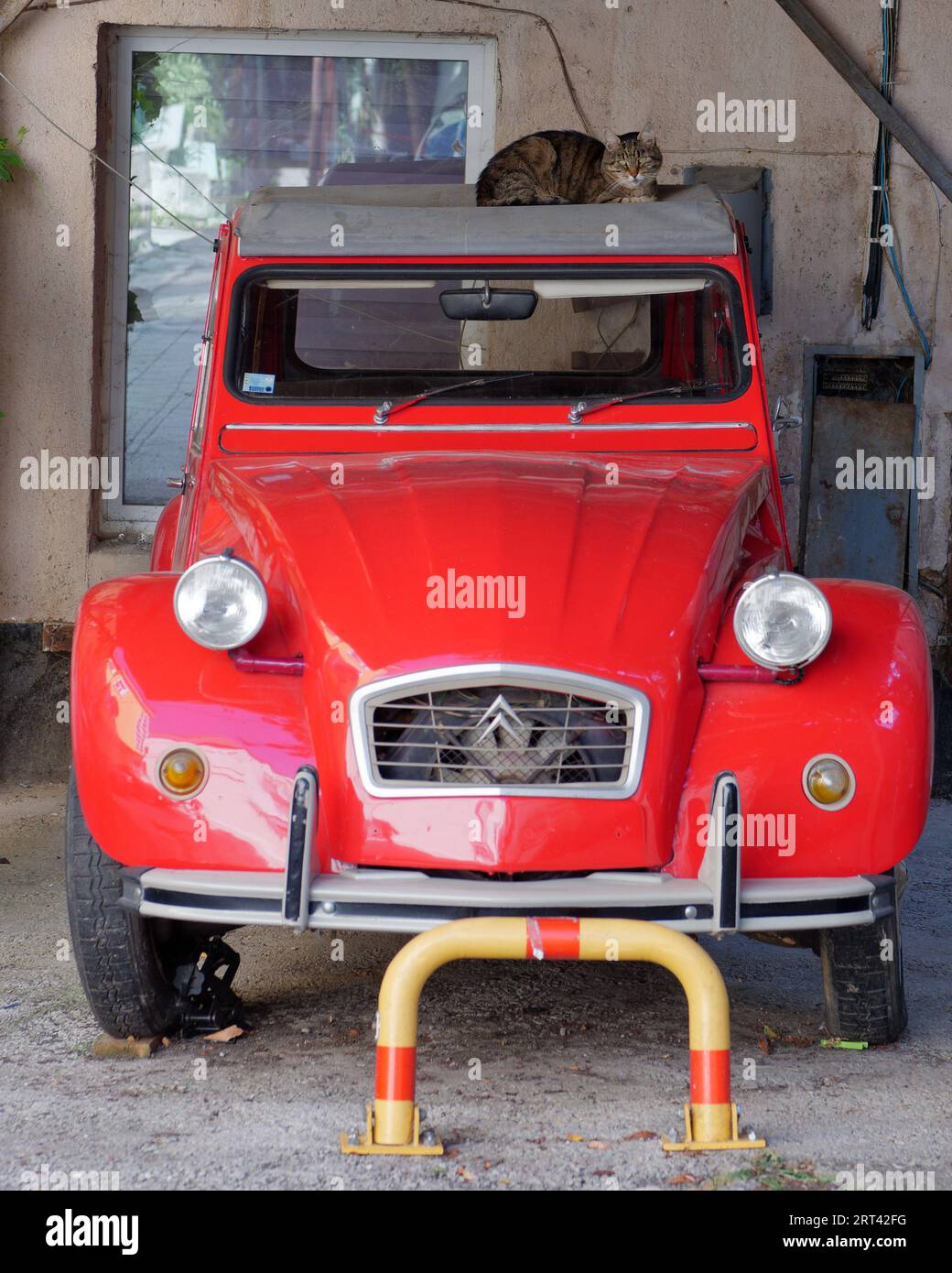 Cat sits on a red Citroen 2CV car in the city of Sarajevo, Bosnia and Herzegovina, September 10, 2023 Stock Photo
