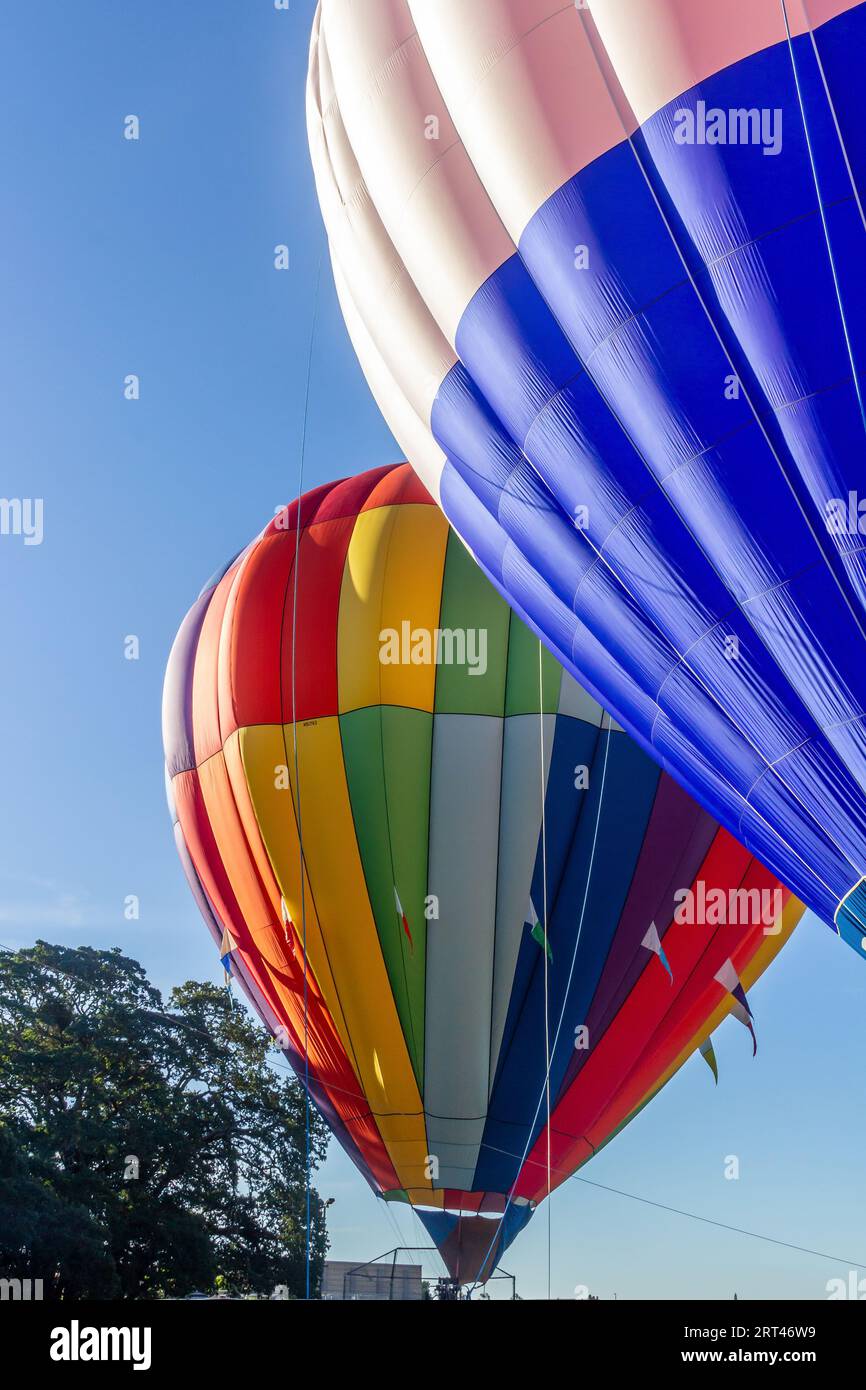 2 hot air balloons are almost fully inflated and ready to rise into the blue sky. One balloon is blue and white. The other is colorful with red, yello Stock Photo