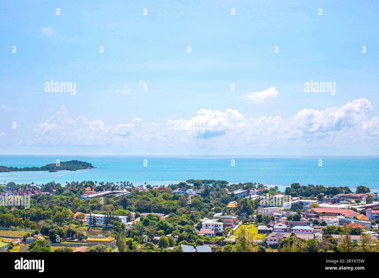 Top view tropical nature trees hi-res stock photography and images - Alamy