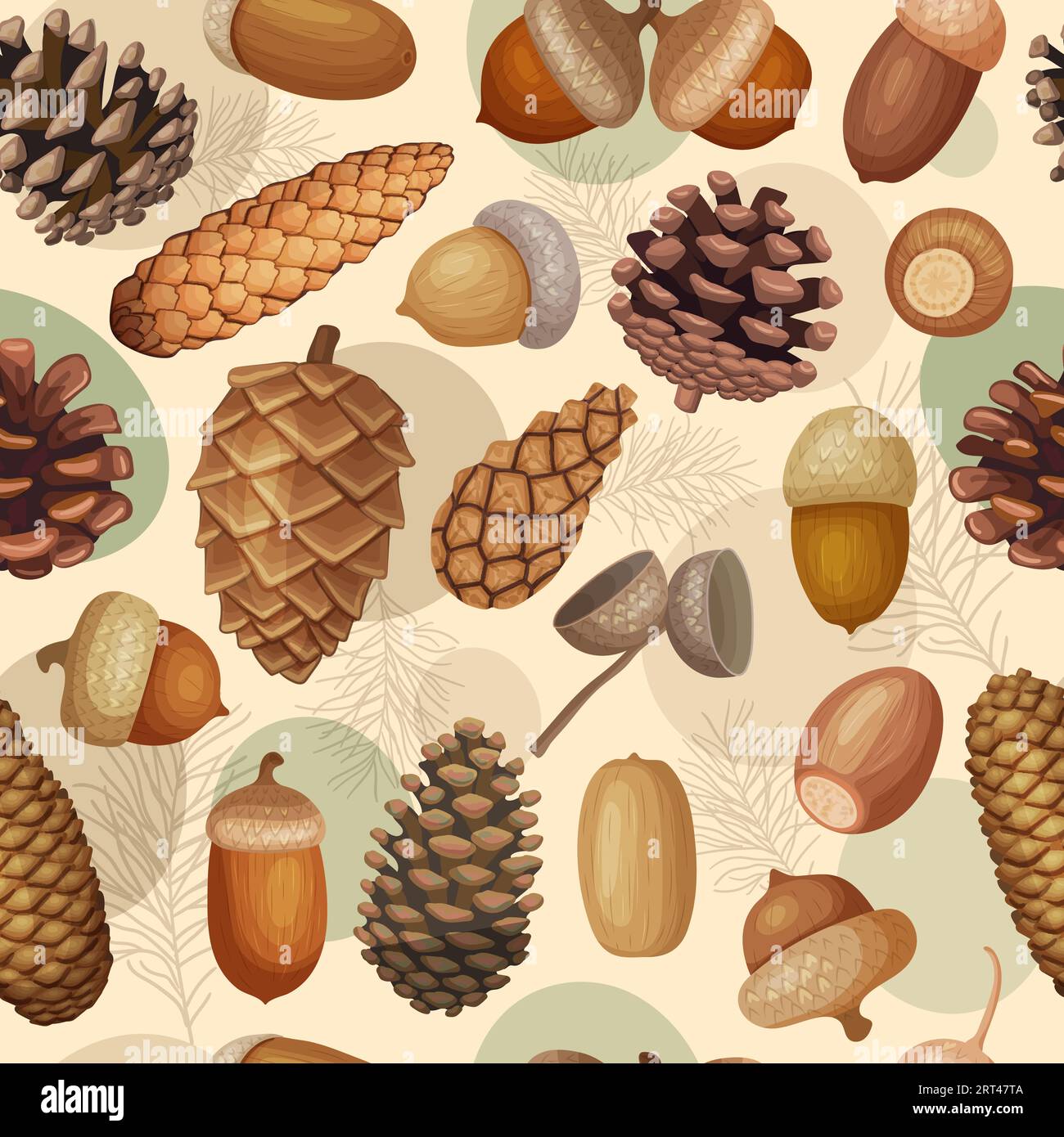 Conifer collections Stock Vector Images - Alamy
