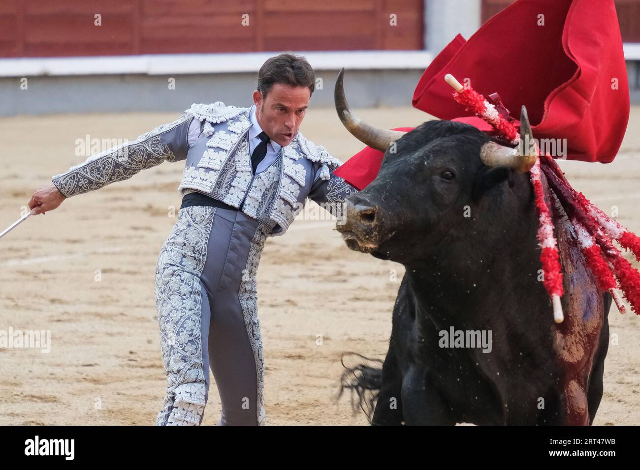 MADRID, SPAIN-OCTOBER 17:The banderillero is a torero who point a barbed  banderillas colorful sticks which are placed in the top of the bull's  should Stock Photo - Alamy