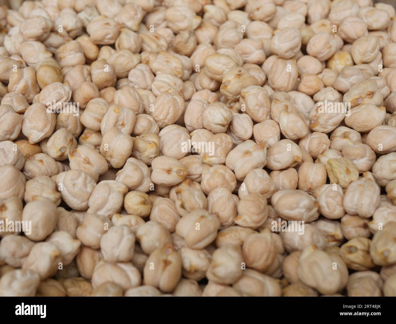 Chickpea Seeds before cooking ,big channa Stock Photo
