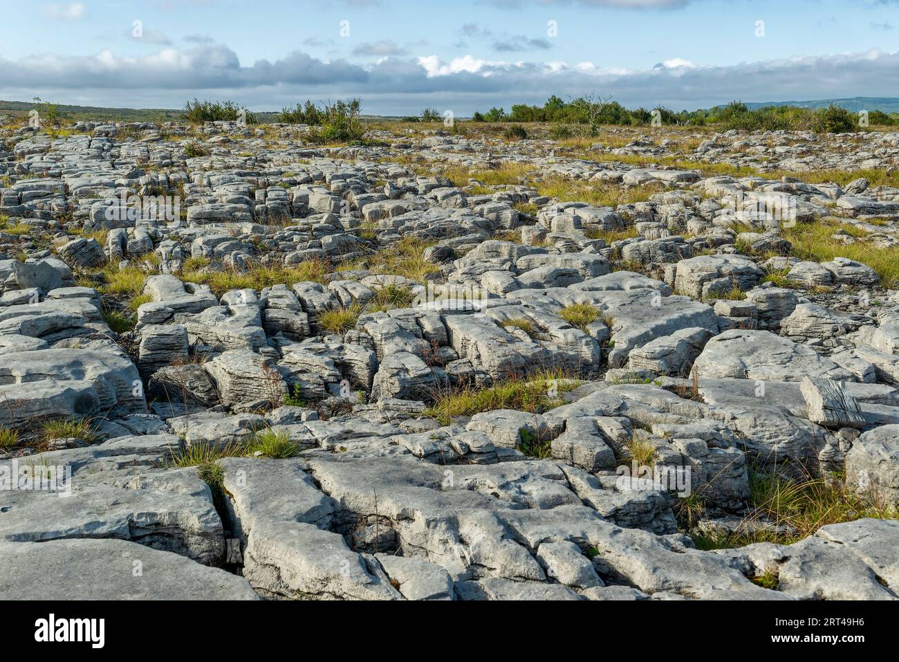 Typical limestone pavement in the Burren National Park, famous for its