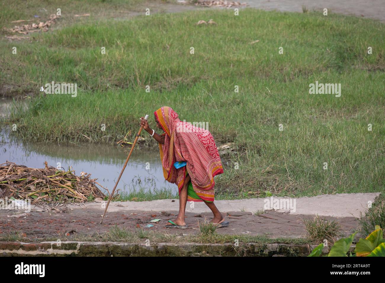 An old woman walking with a stick along a dirt road on the bank of Sandhaya River. Pirojpur, Bangladesh. Stock Photo