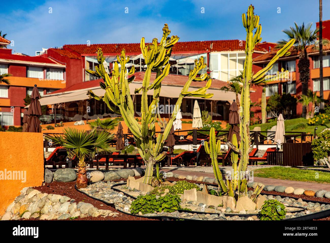 Beautiful resort in Puerto Nuevo a few kilometers from Rosarito in the