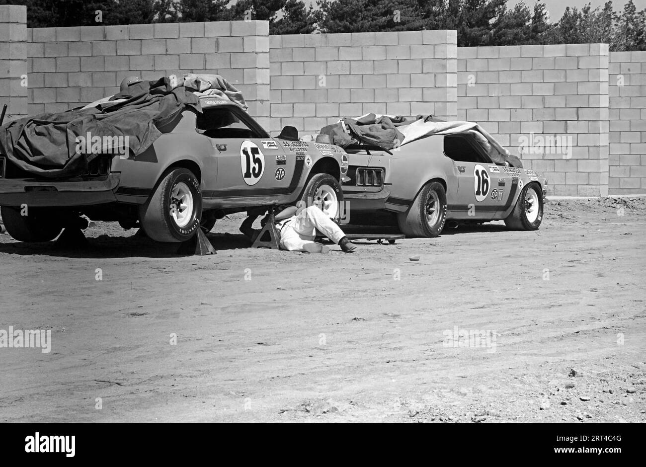 1971 Watkins Glen Trans Am,  Ford Mustang Boss 302,  #15 George Follmer Started 1st, Finished 2nd ,  #16 Peter Gregg Started 5th, Finished 3rd Stock Photo