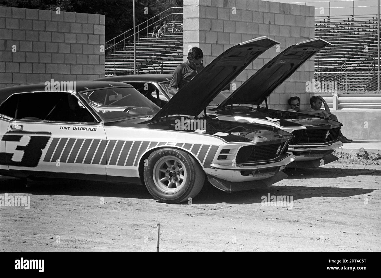 1971 Watkins Glen Trans Am,    Ford Mustang Boss 302, Tony DeLorenzo, Started 6th, DNF Stock Photo