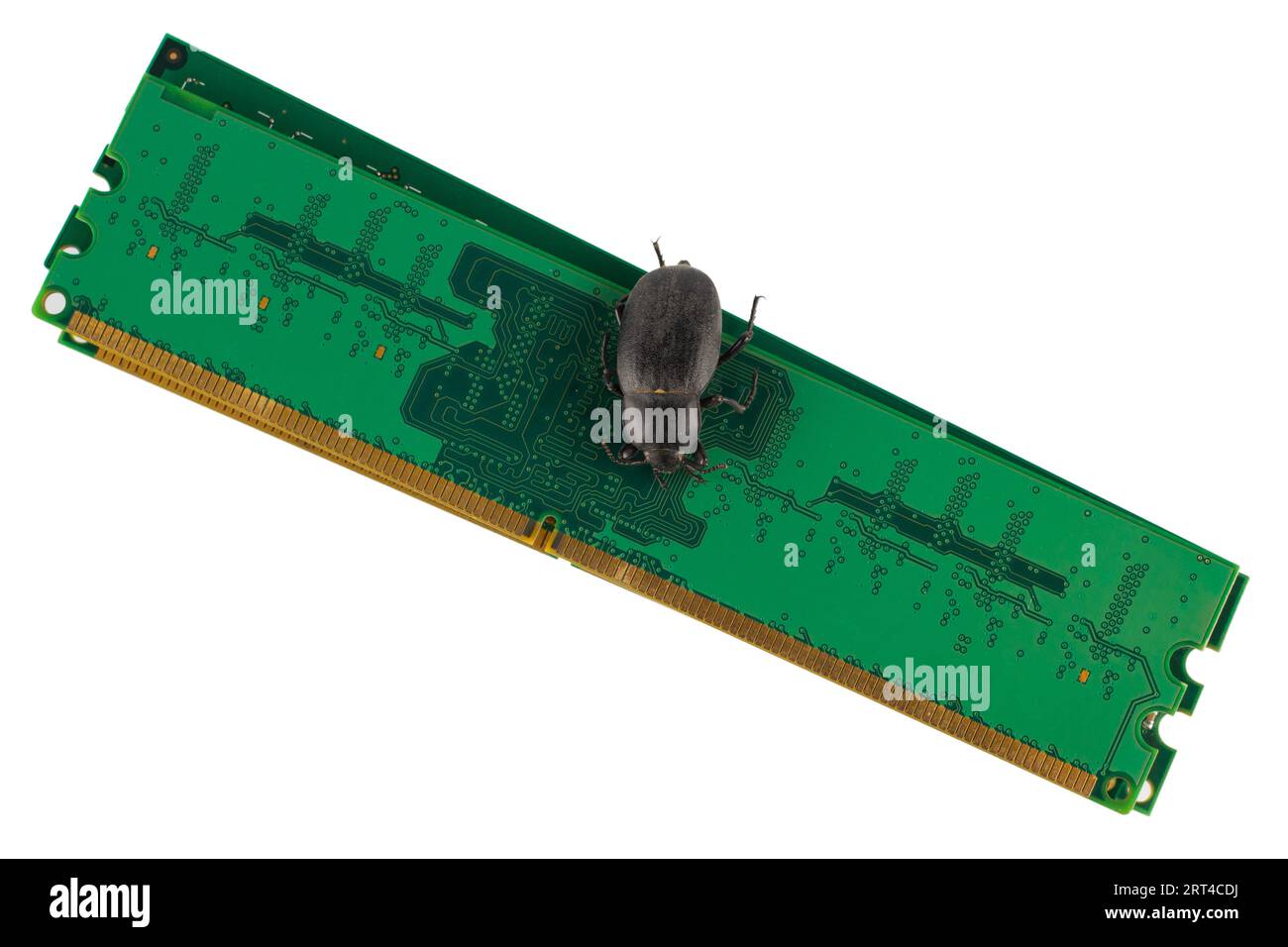 Bug on PC memory module. Computer error concept. Isolated on white ...