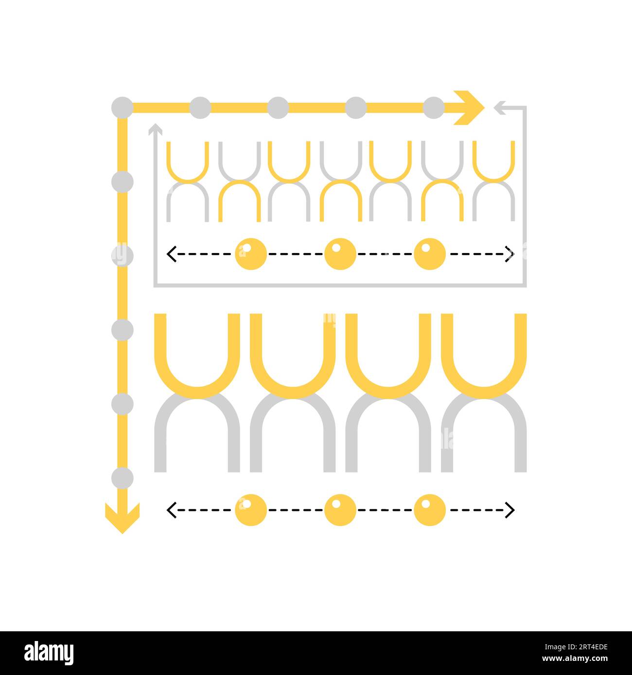 Chromosome structure. Biochemistry genetics, biology dna, chromosome genes vector illustration Stock Vector