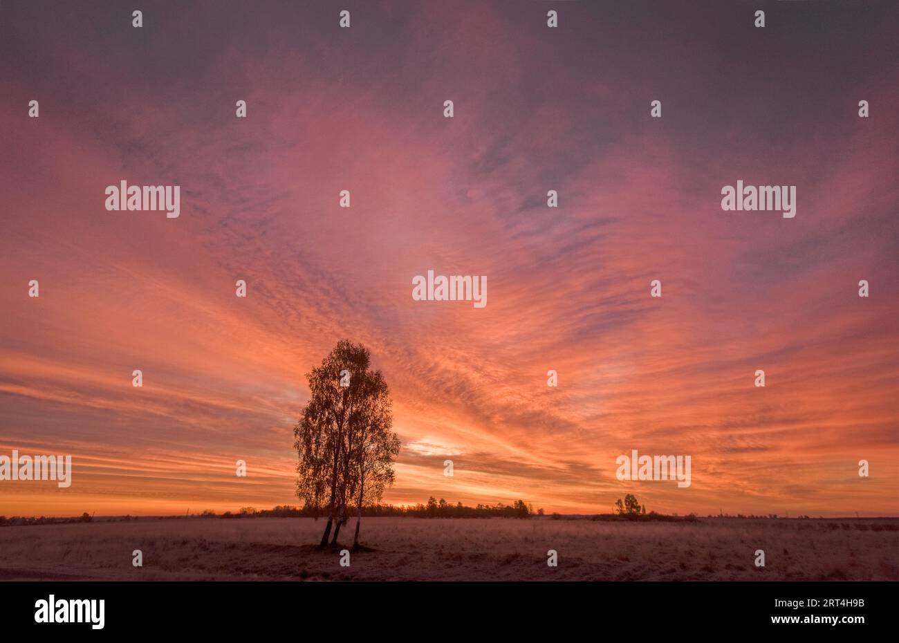 Sunsets and sunrises symbolize a new beginning in our life, and the sky