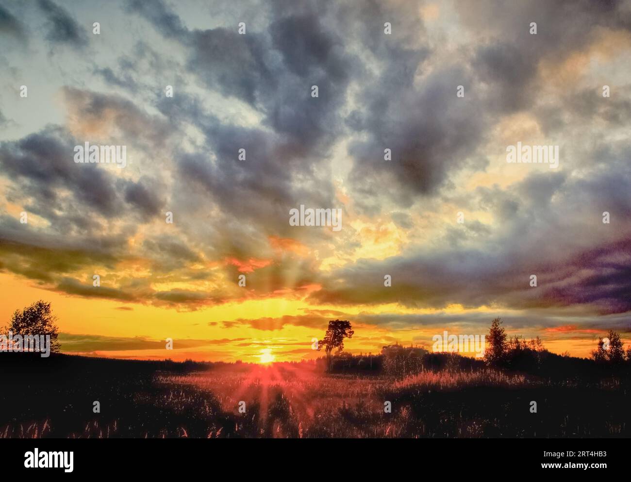 Sunsets and sunrises symbolize a new beginning in our life, and the sky