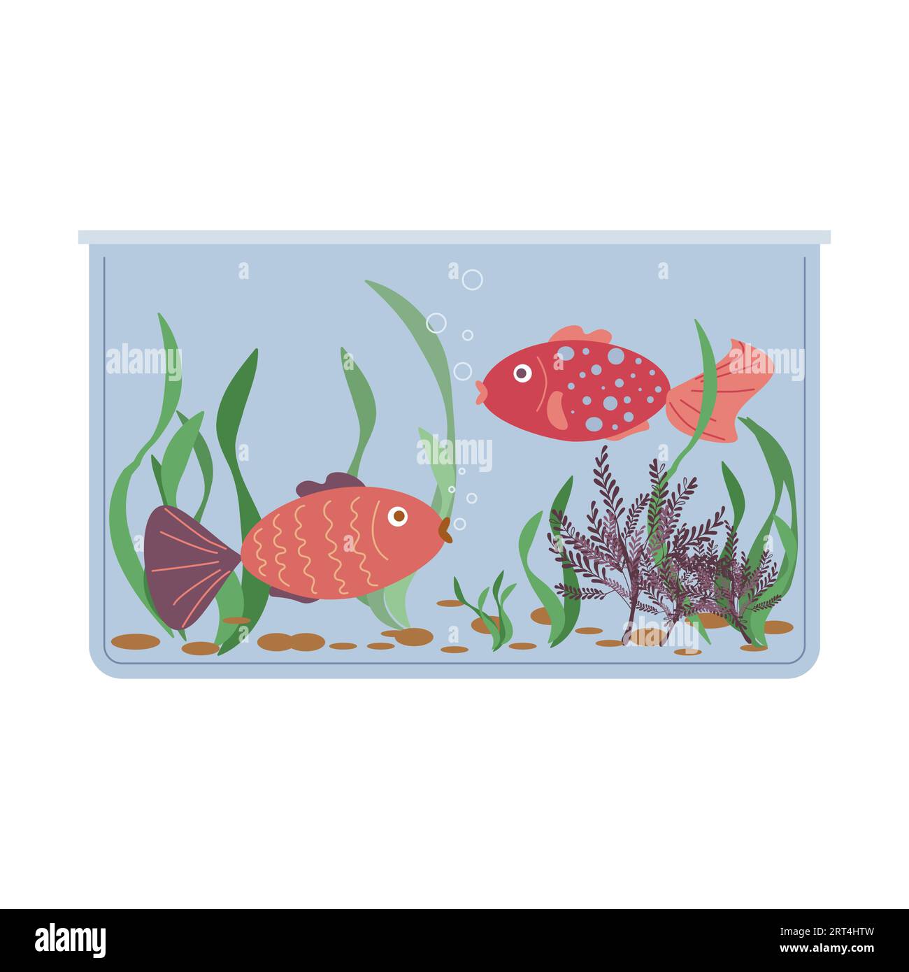 Goldfish rectangular aquarium Cut Out Stock Images & Pictures - Alamy