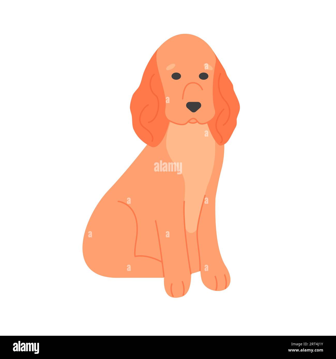 Cocker spaniel furry 2025