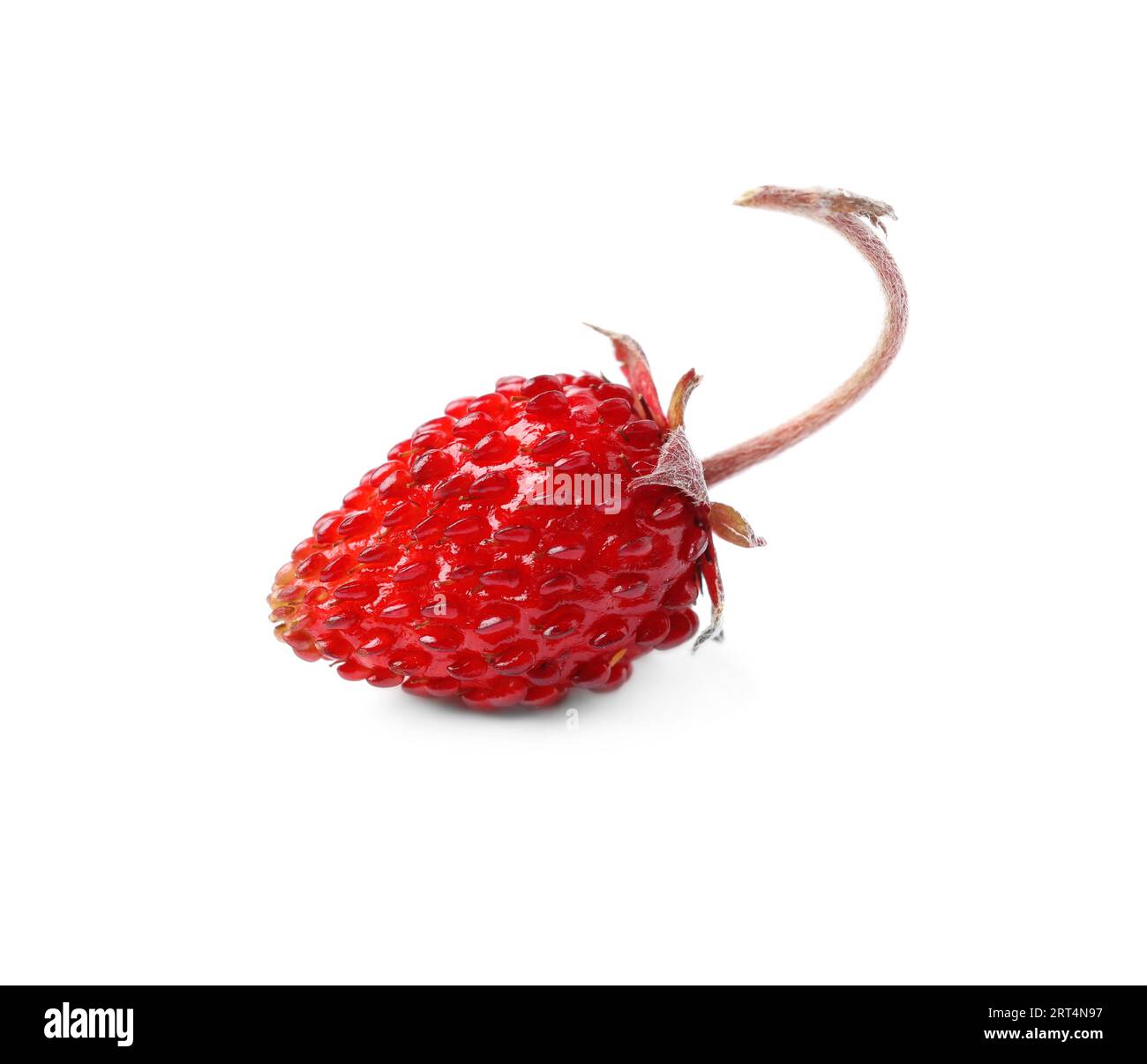 One ripe wild strawberry isolated on white Stock Photo - Alamy