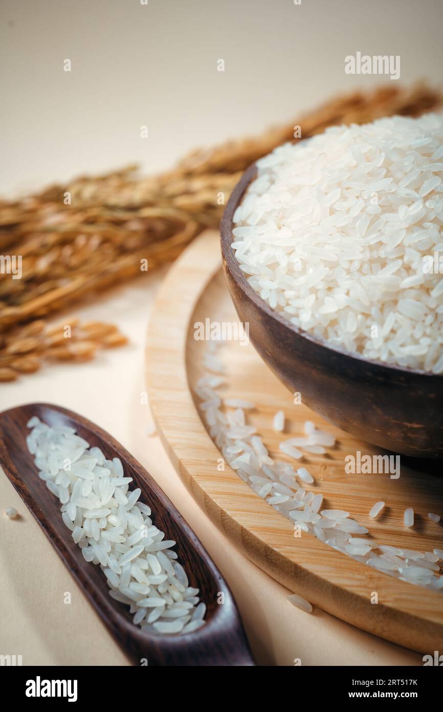 Asian rice, Vietnam rice is the best rice in Asia, hi res photo Stock