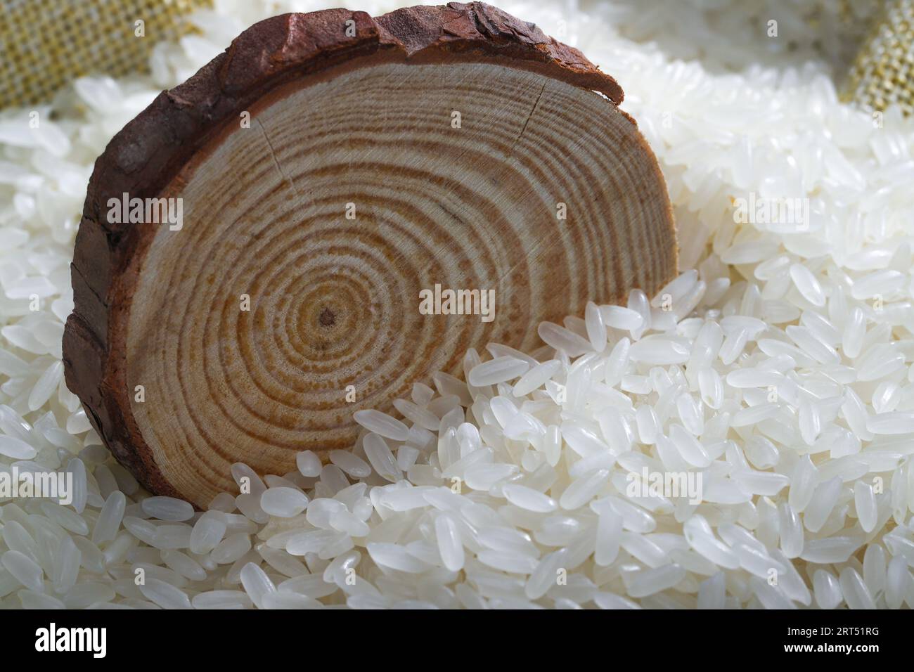 Asian rice, Vietnam rice is the best rice in Asia, hi res photo Stock