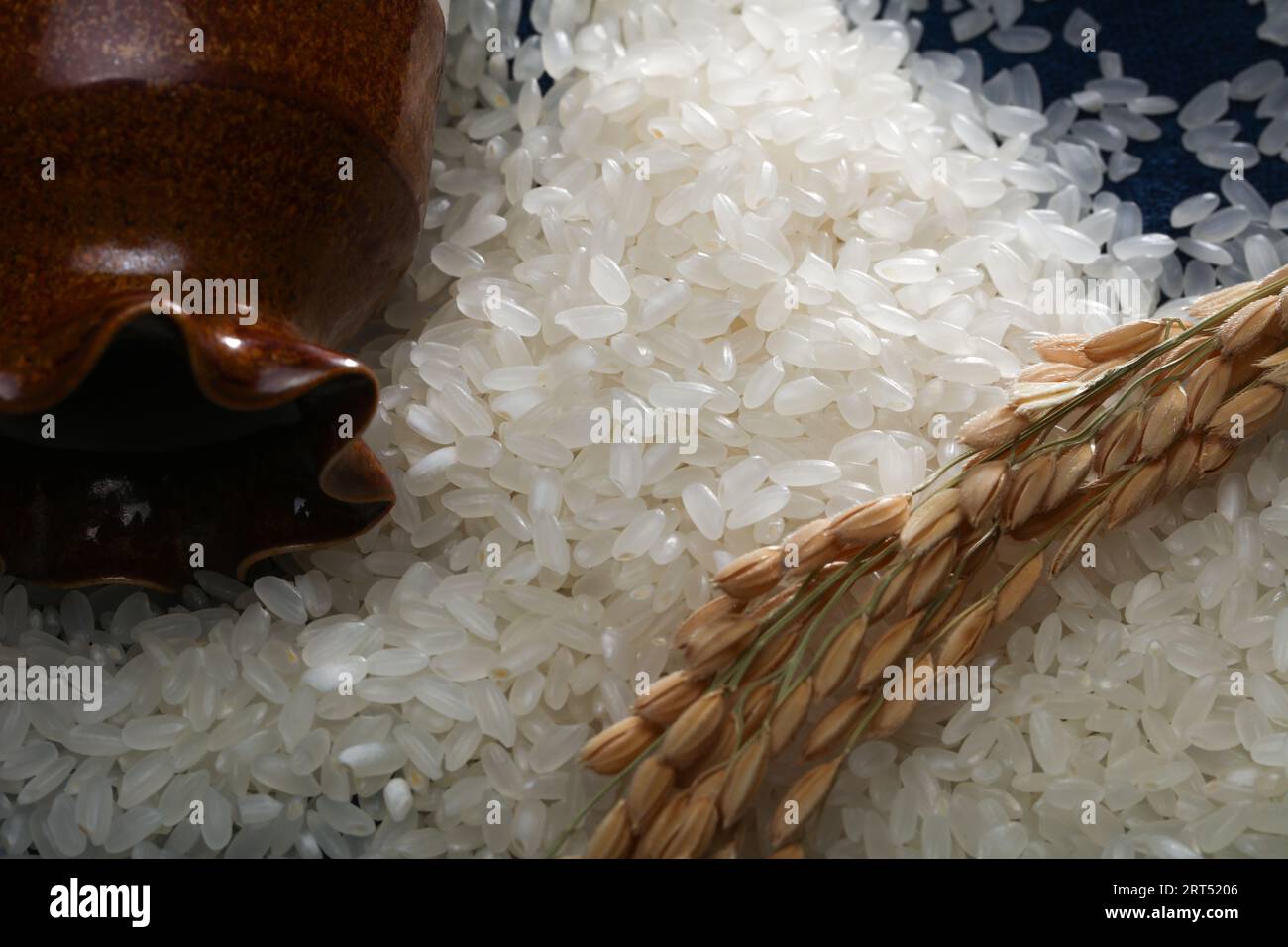 Asian rice, Vietnam rice is the best rice in Asia, hi res photo Stock Photo Alamy