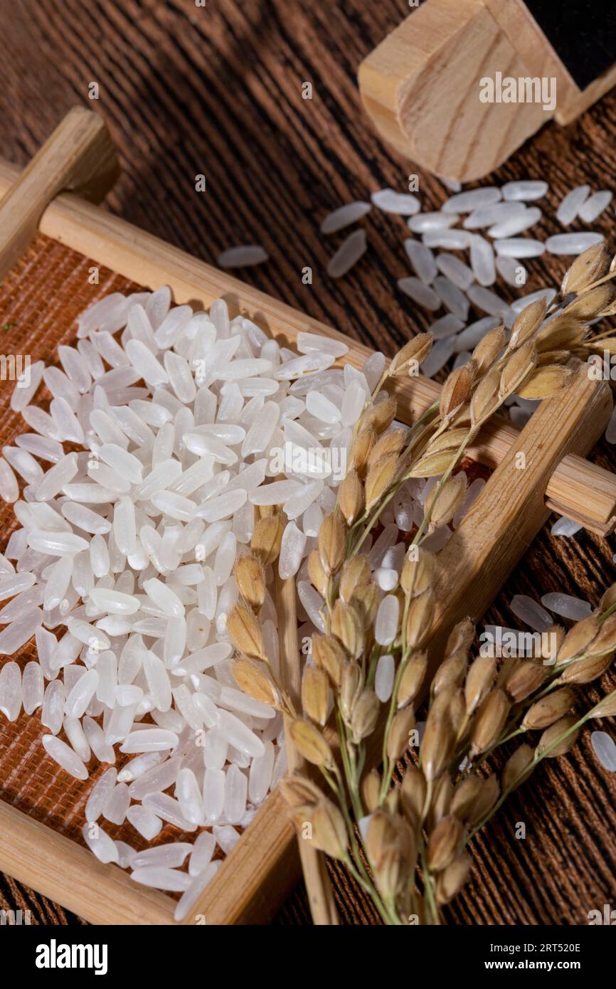 Asian rice, Vietnam rice is the best rice in Asia, hi res photo Stock Photo Alamy