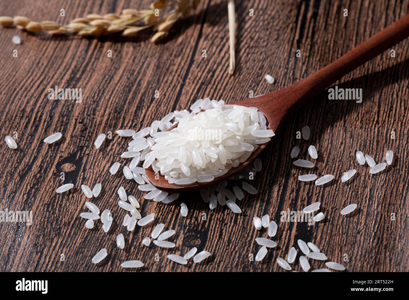 Asian rice, Vietnam rice is the best rice in Asia, hi res photo Stock Photo Alamy