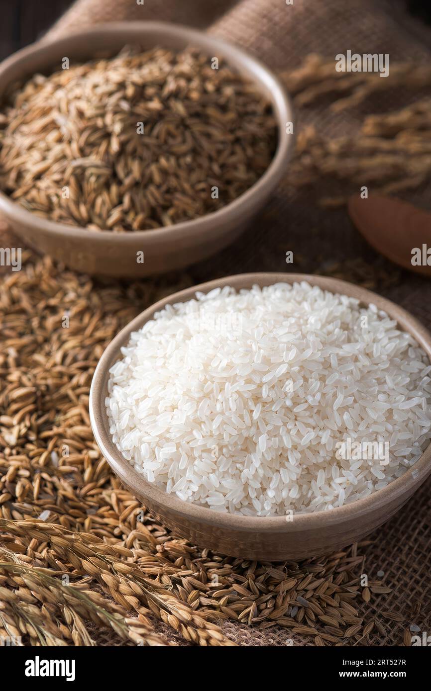 Asian rice, Vietnam rice is the best rice in Asia, hi res photo Stock