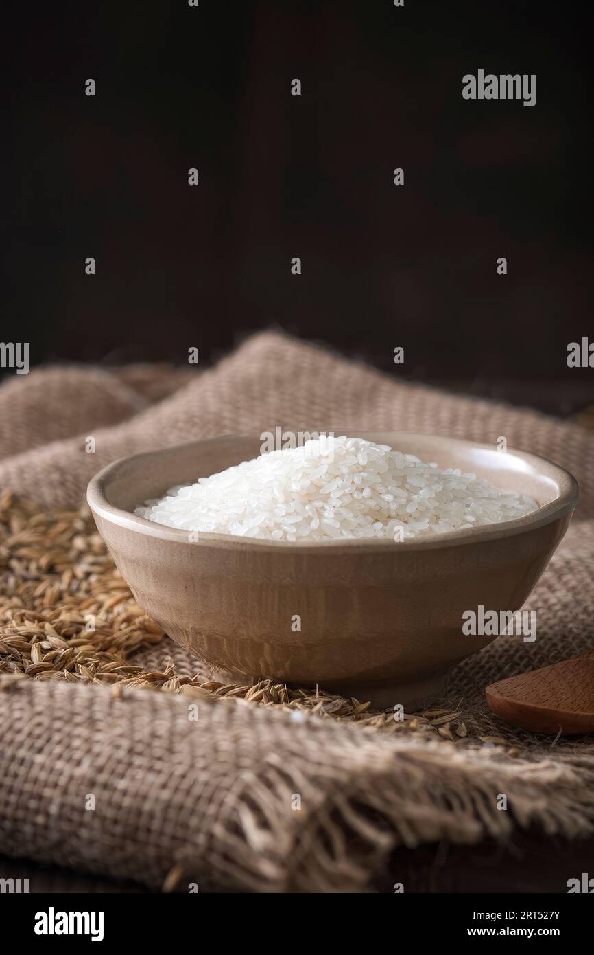 Asian rice, Vietnam rice is the best rice in Asia, hi res photo Stock