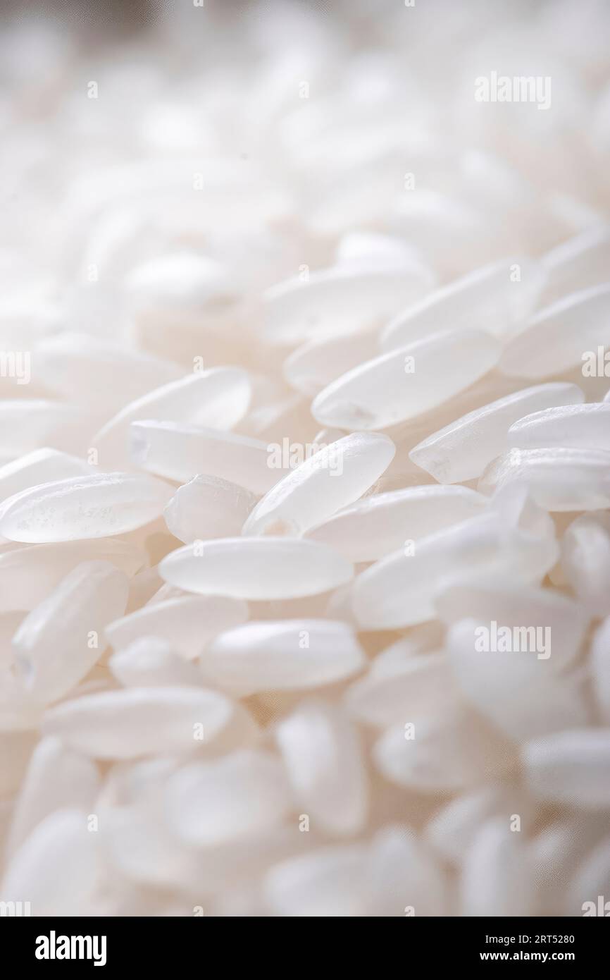 Asian rice, Vietnam rice is the best rice in Asia, hi res photo Stock