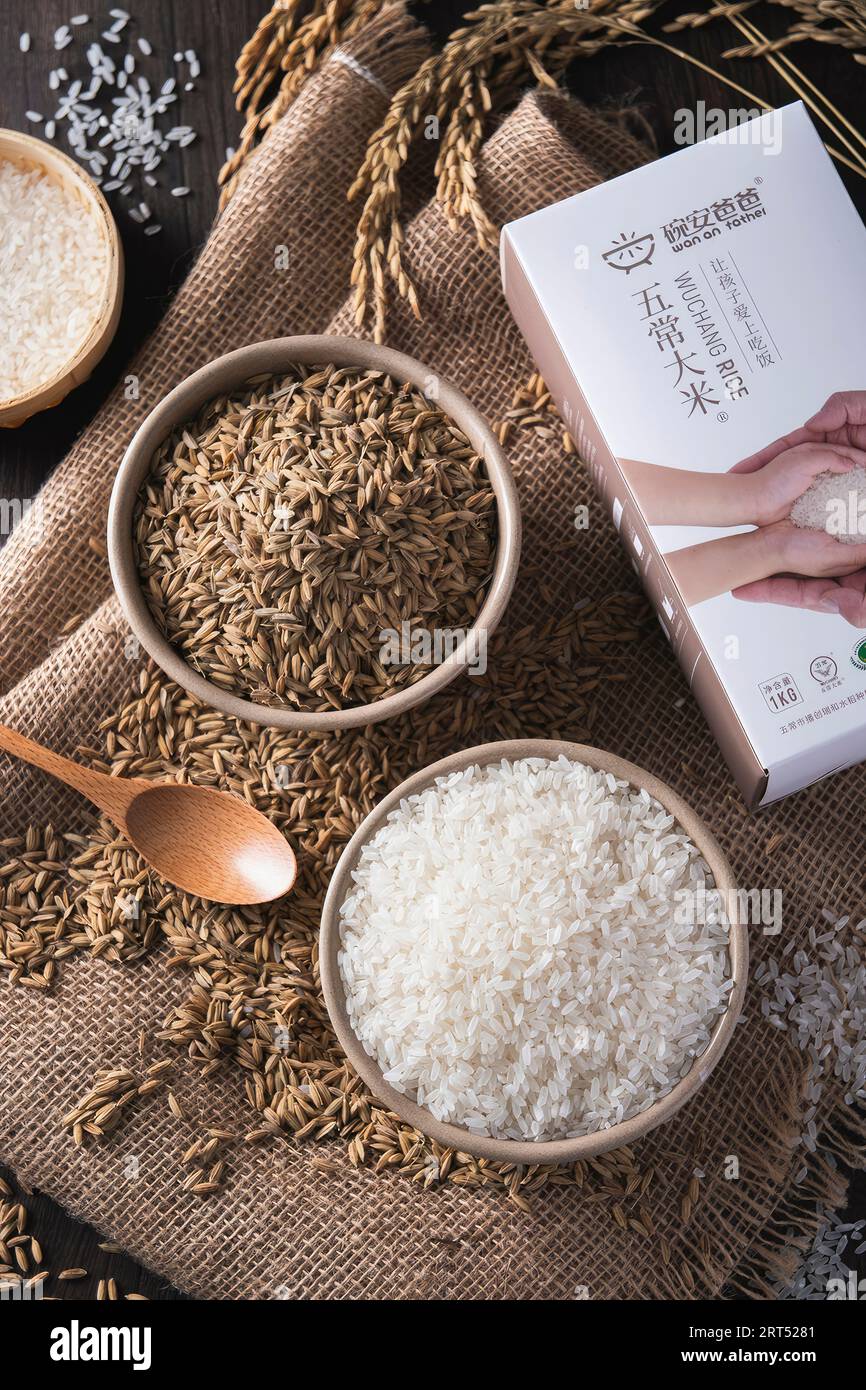 Asian rice, Vietnam rice is the best rice in Asia, hi res photo Stock