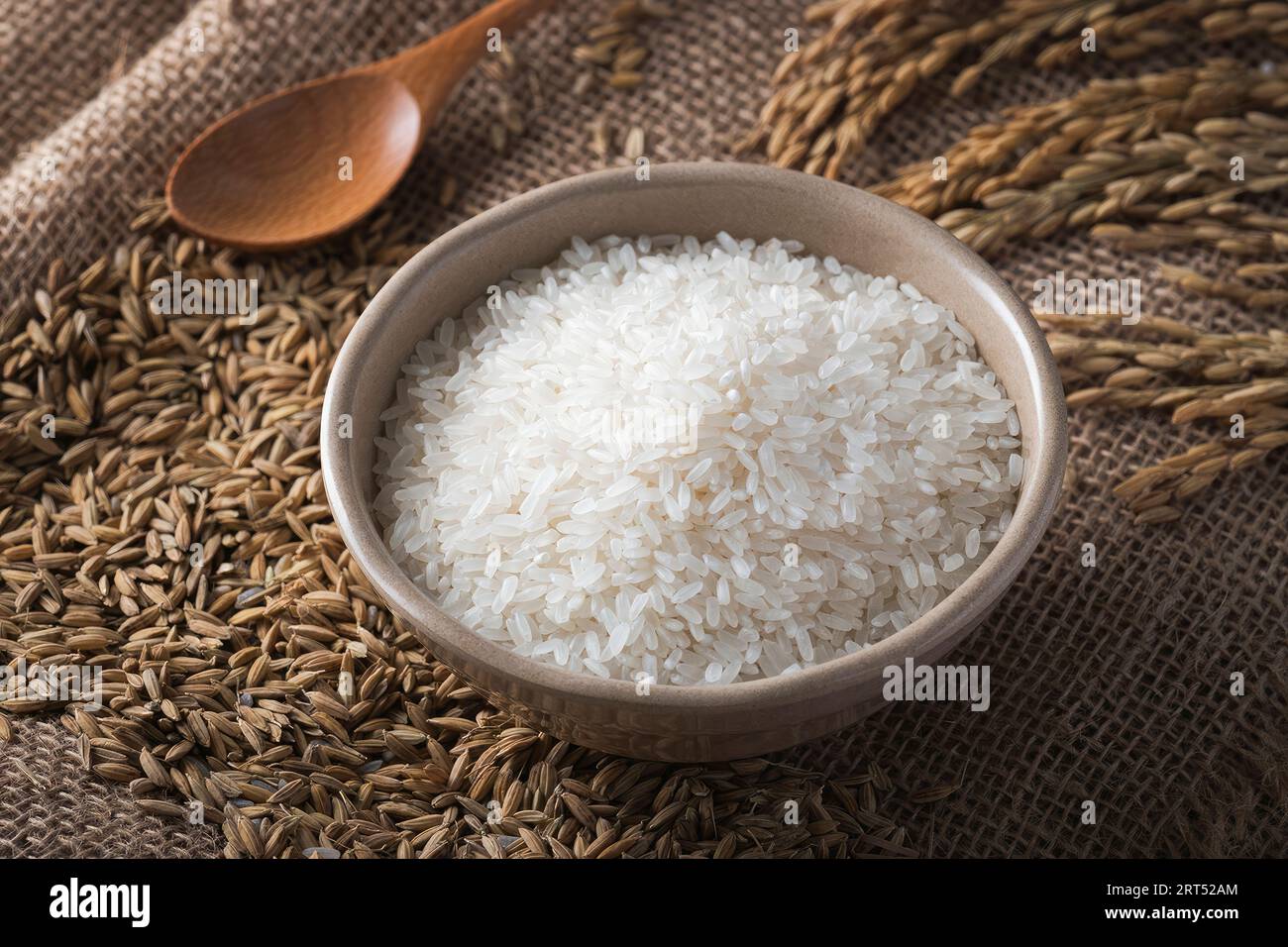 Asian rice, Vietnam rice is the best rice in Asia, hi res photo Stock Photo Alamy