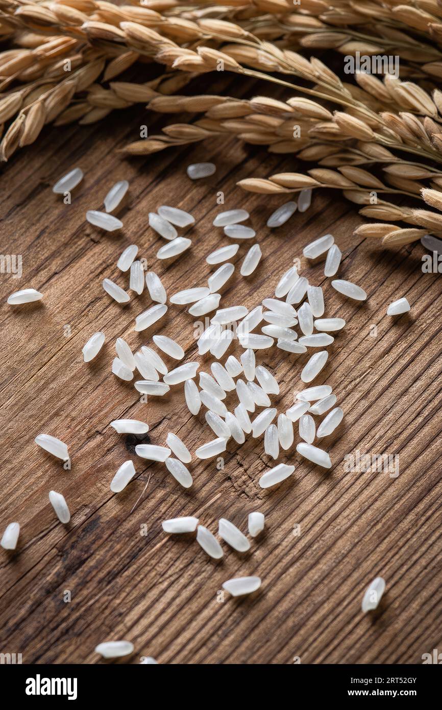 Asian rice, Vietnam rice is the best rice in Asia, hi res photo Stock