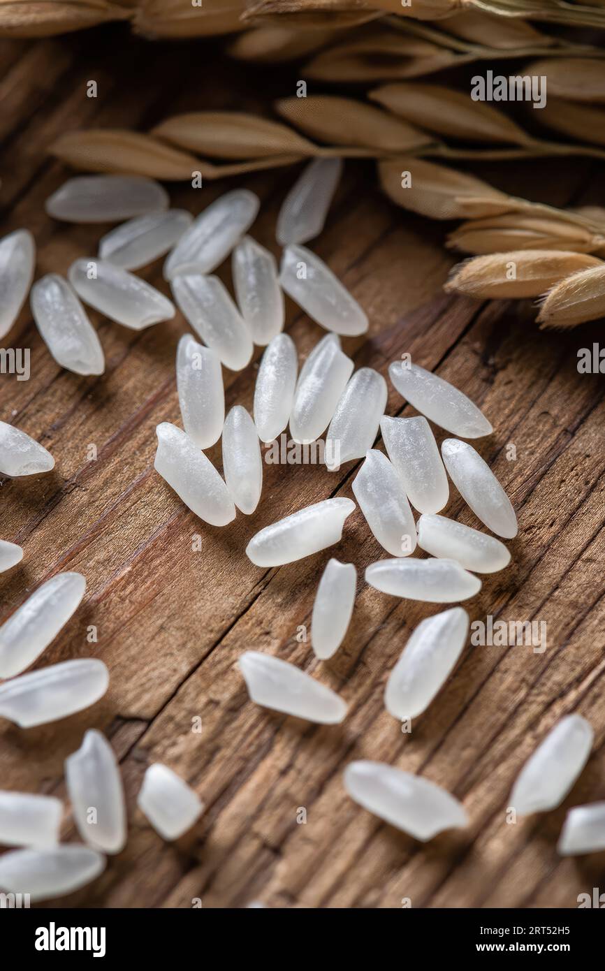 Asian rice, Vietnam rice is the best rice in Asia, hi res photo Stock