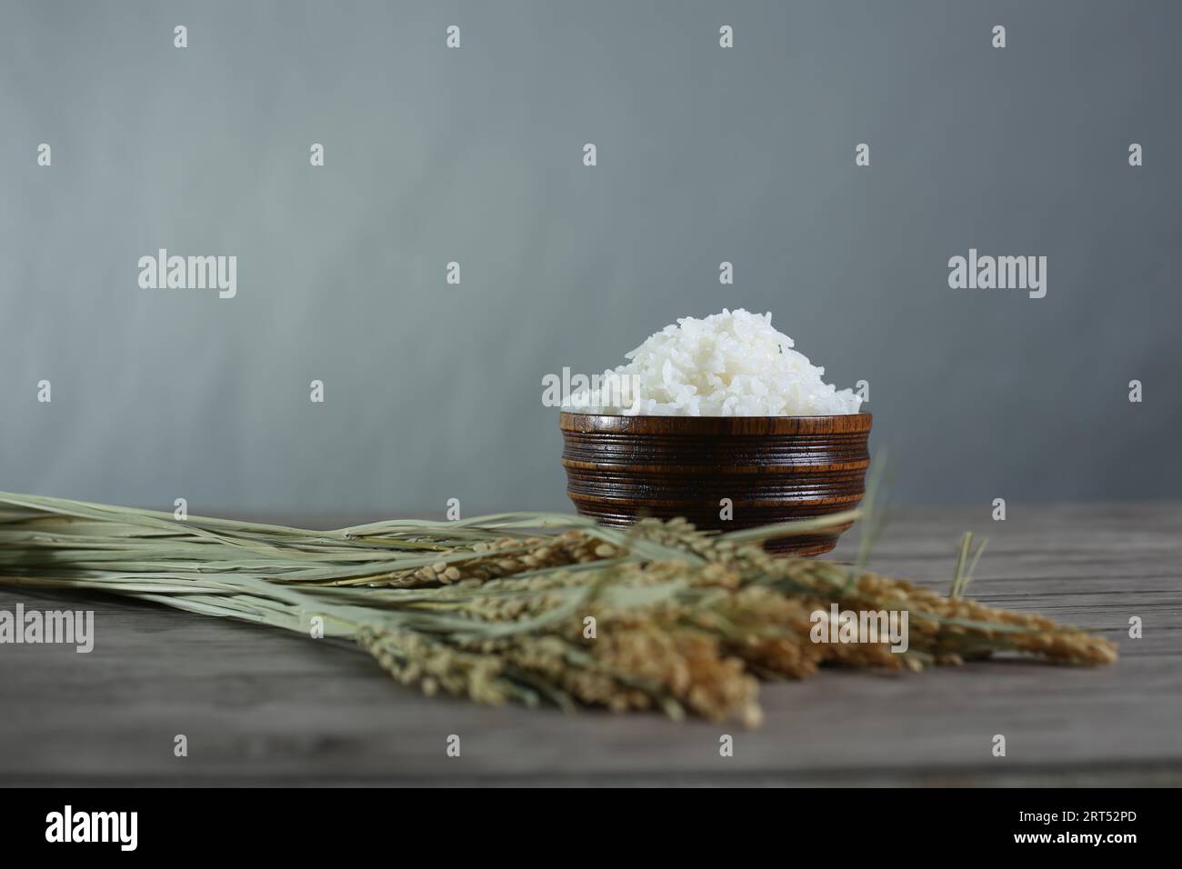 Asian rice, Vietnam rice is the best rice in Asia, hi res photo Stock