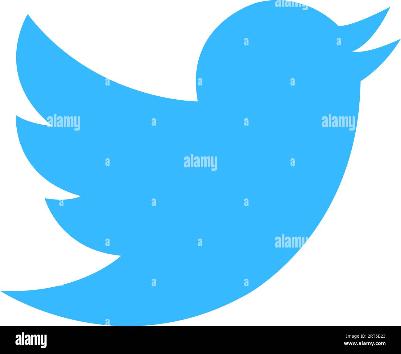 Twitter Old logo vcetor. Twitter rebrand little bird to X letter symbol. Elon Musk change social media logo Novation. X New Twitter icon. Set of Twitt Stock Vector
