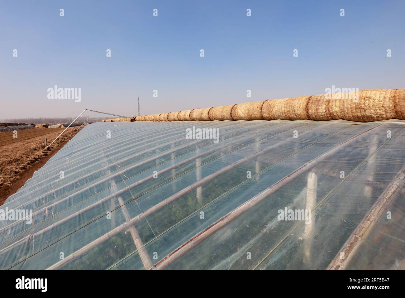 Appearance of Vegetable Greenhouse Stock Photo - Alamy
